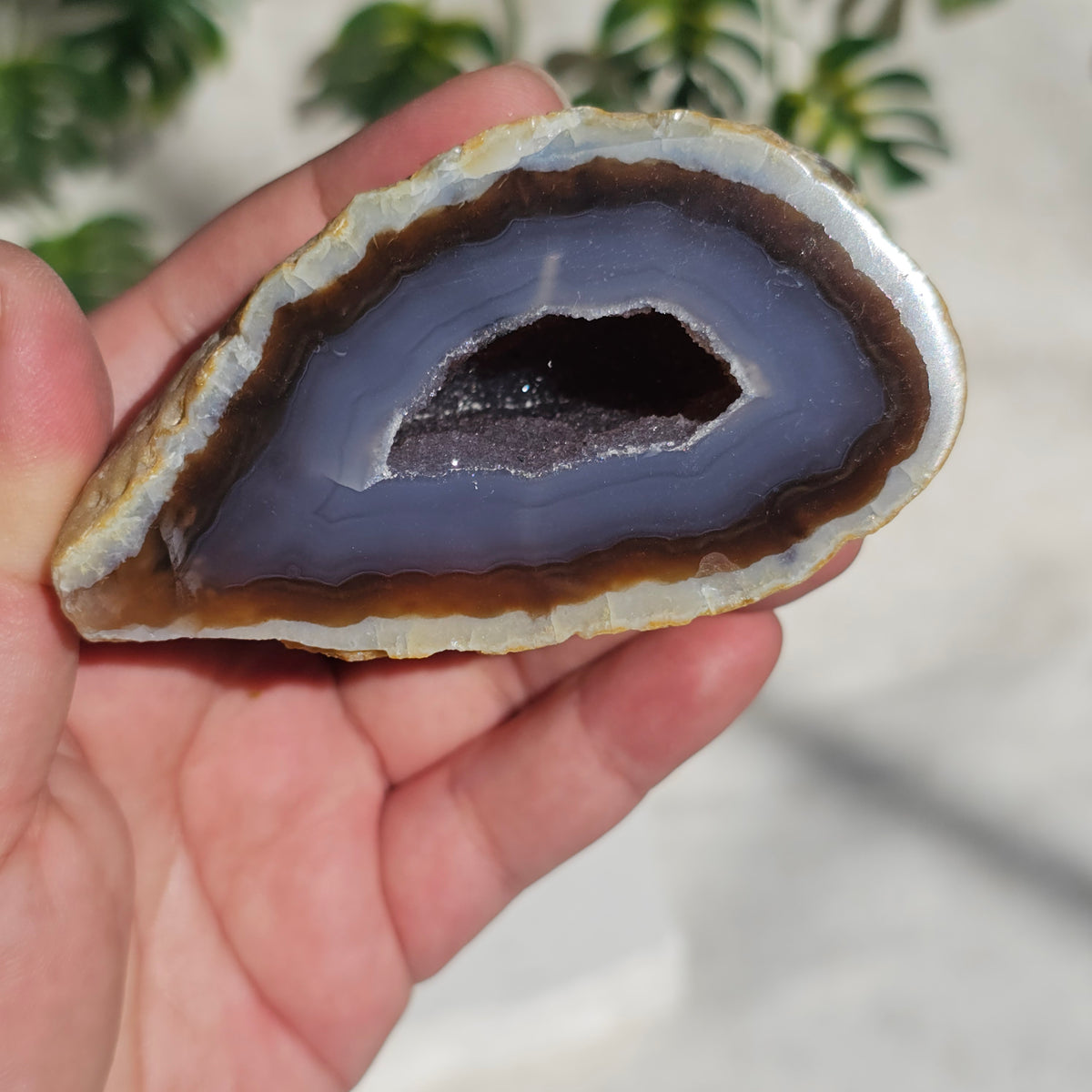 Brazilian Agate Geode (L-D)