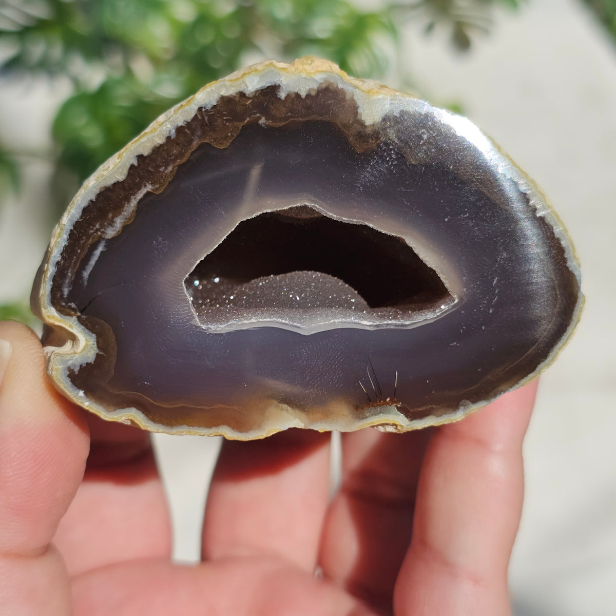 Brazilian Agate Geode (L-F)
