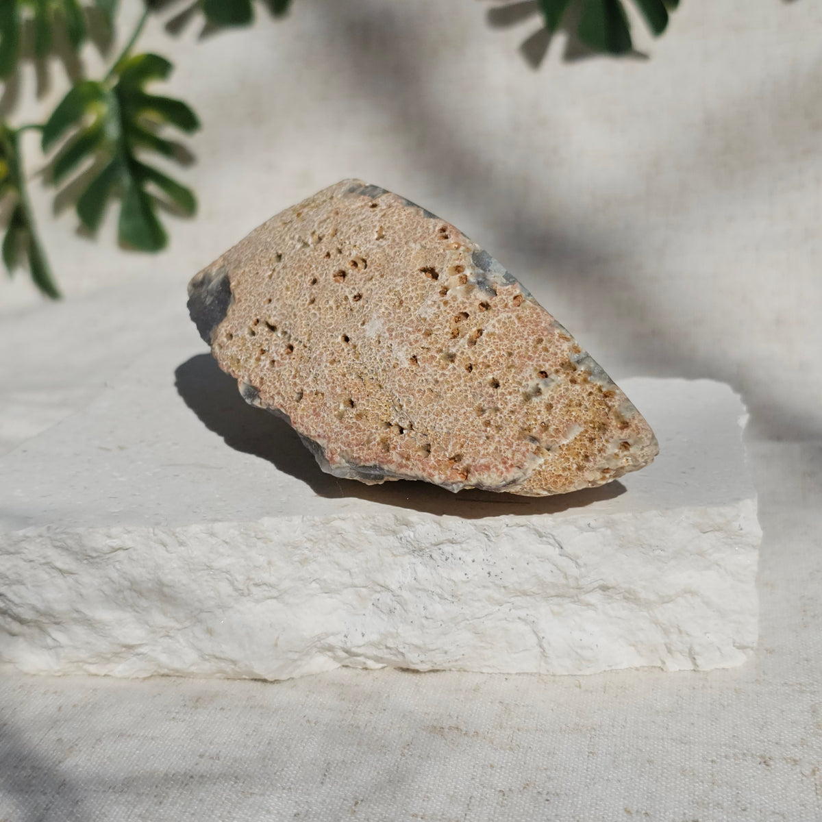 Brazilian Agate Geode (L-E)