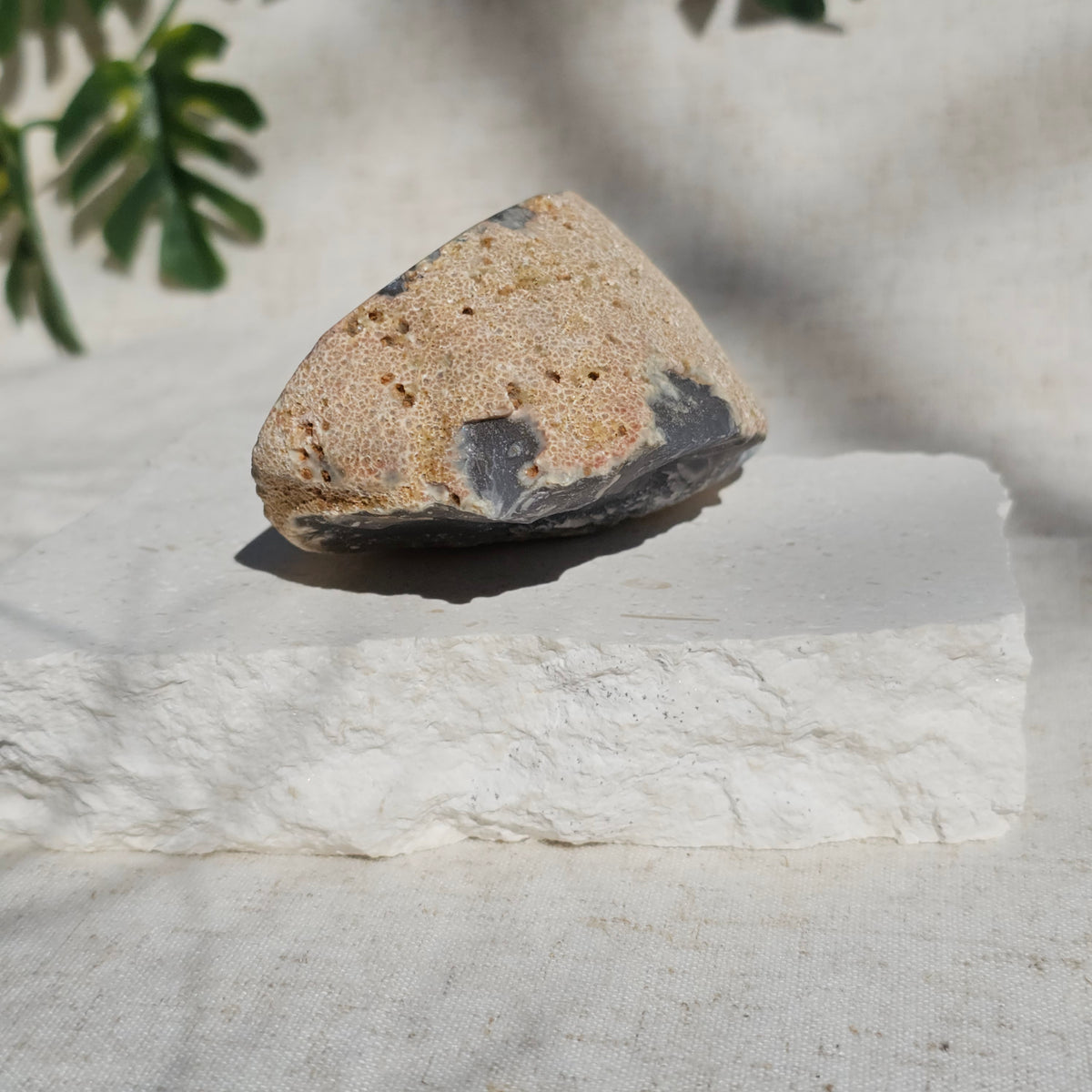 Brazilian Agate Geode (L-E)