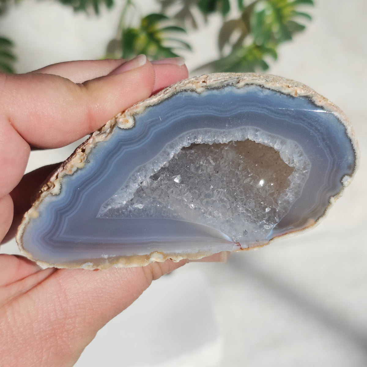 Brazilian Agate Geode (L-E)