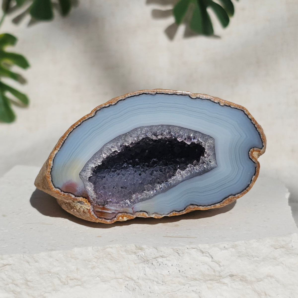 Brazilian Agate Geode (X-L)