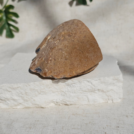 Brazilian Agate Geode (X-L)
