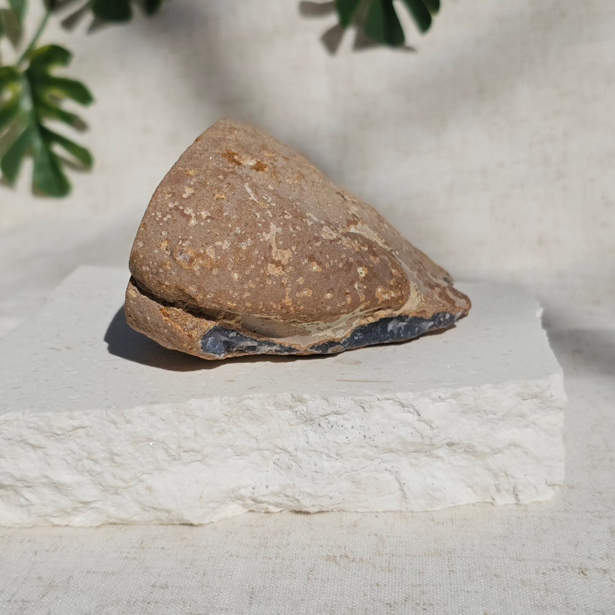 Brazilian Agate Geode (X-L)