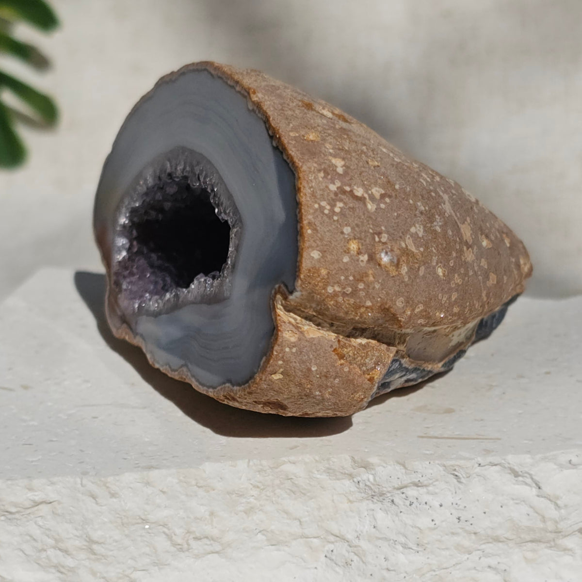 Brazilian Agate Geode (X-L)