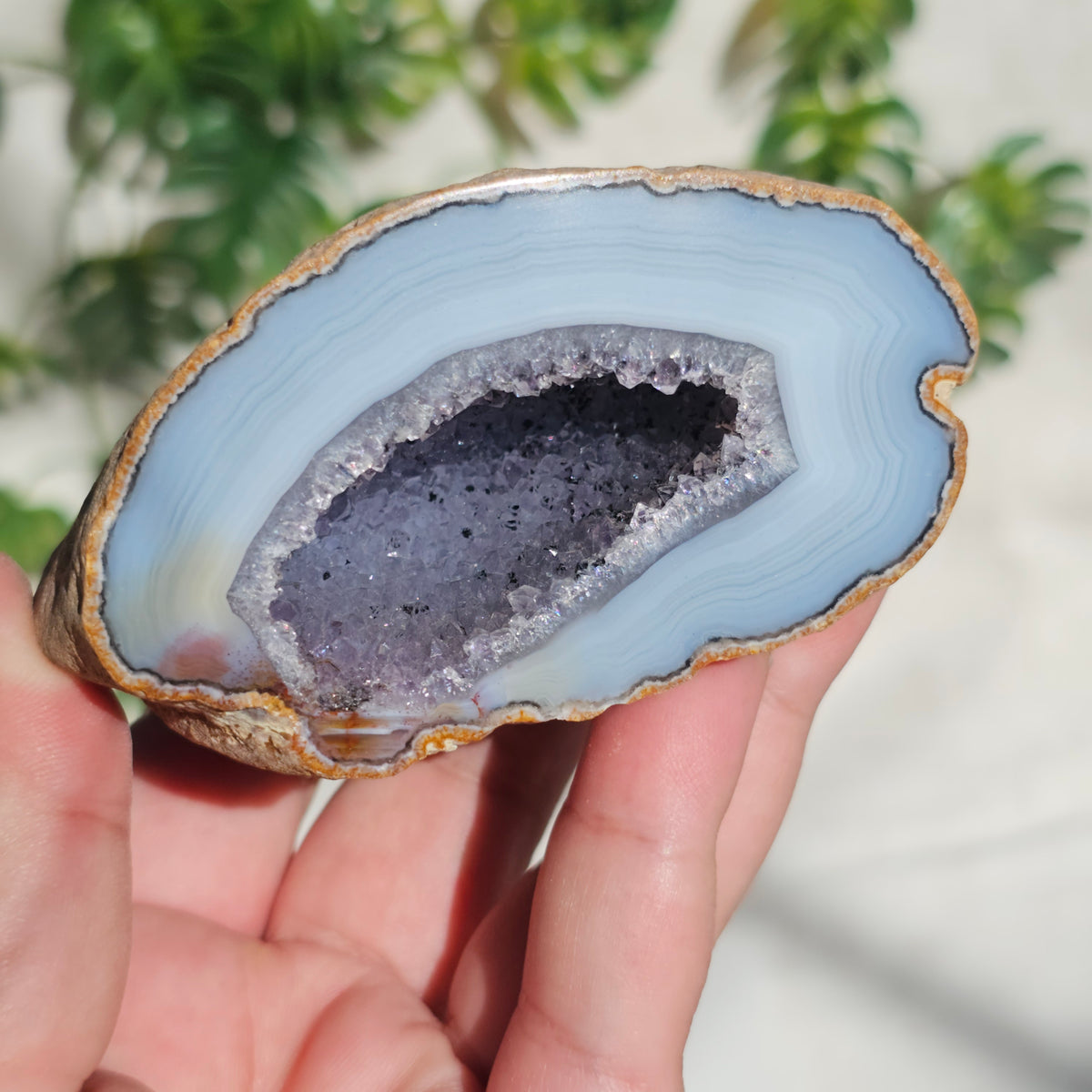 Brazilian Agate Geode (X-L)