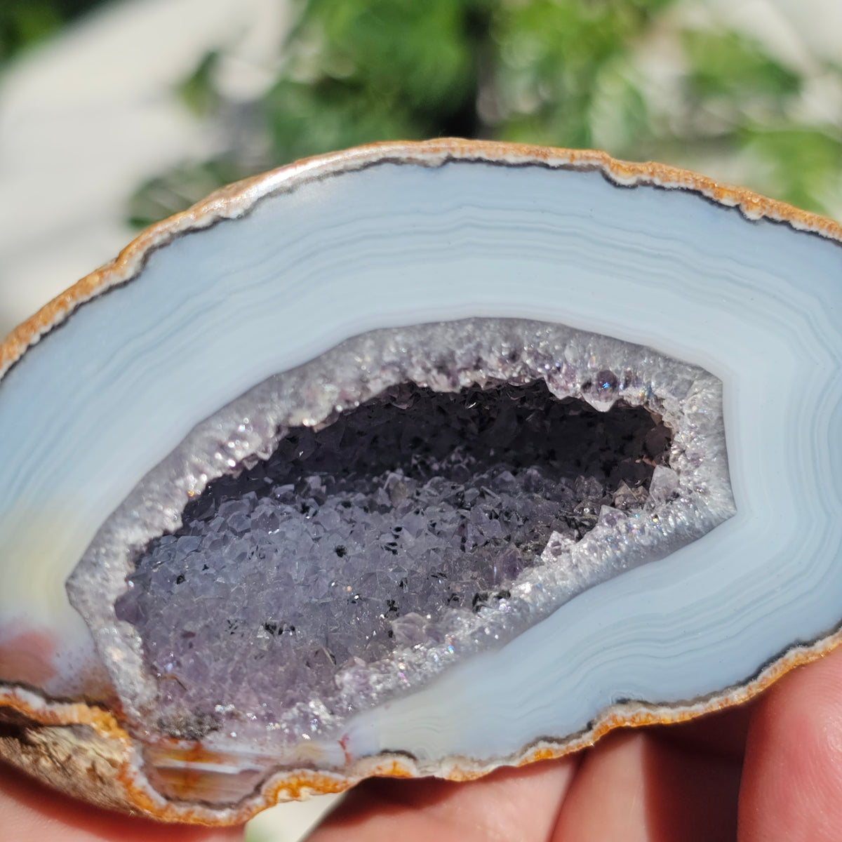 Brazilian Agate Geode (X-L)