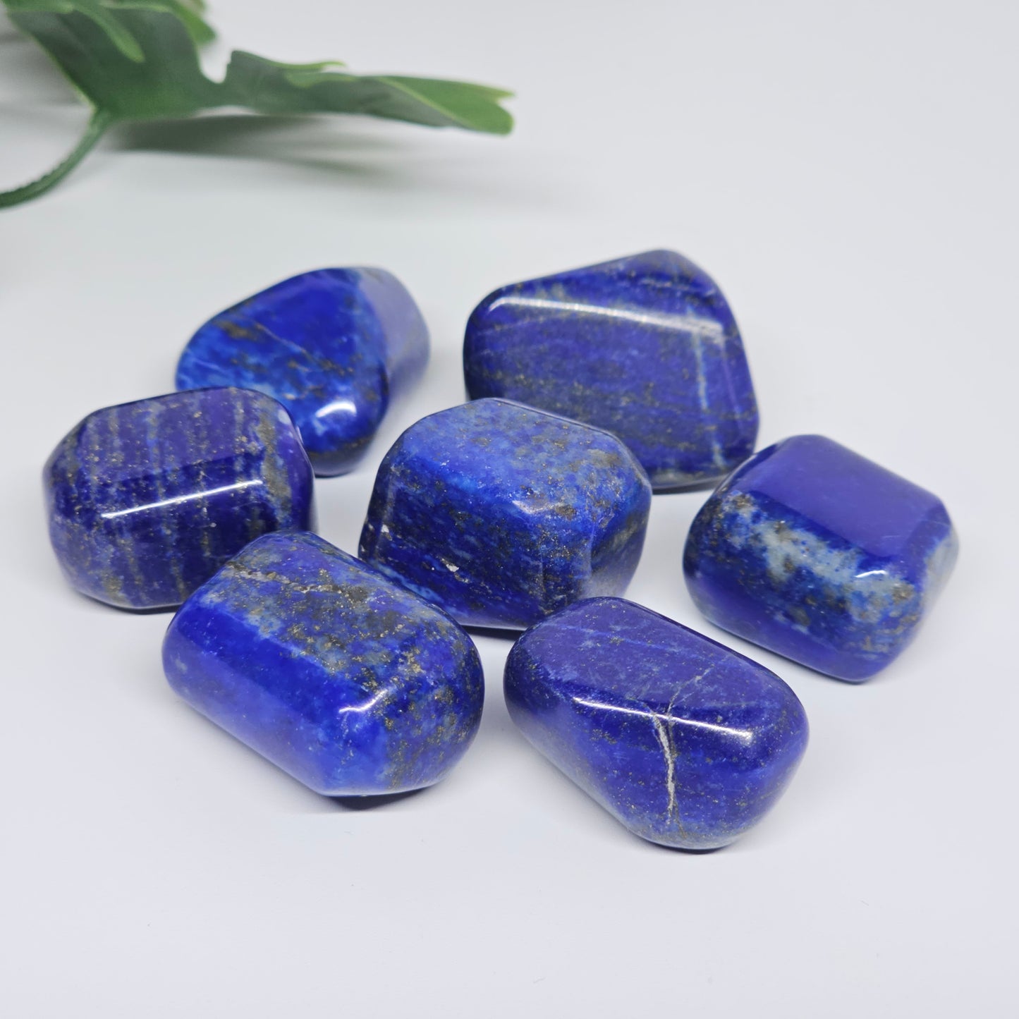 Collection of AA Grade Lapis Lazuli polished tumble stones featuring intense royal blue colouring with natural golden Pyrite speckles. Premium crystals available in Australia.