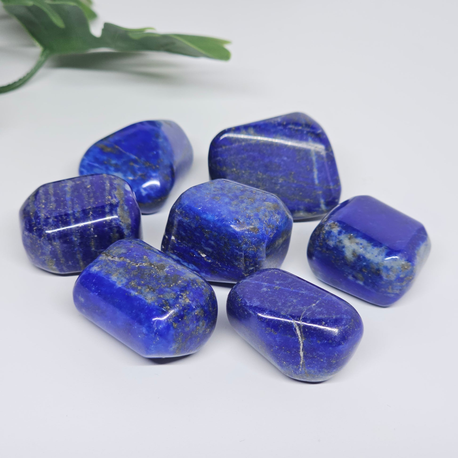 Collection of AA Grade Lapis Lazuli polished tumble stones featuring intense royal blue colouring with natural golden Pyrite speckles. Premium crystals available in Australia.