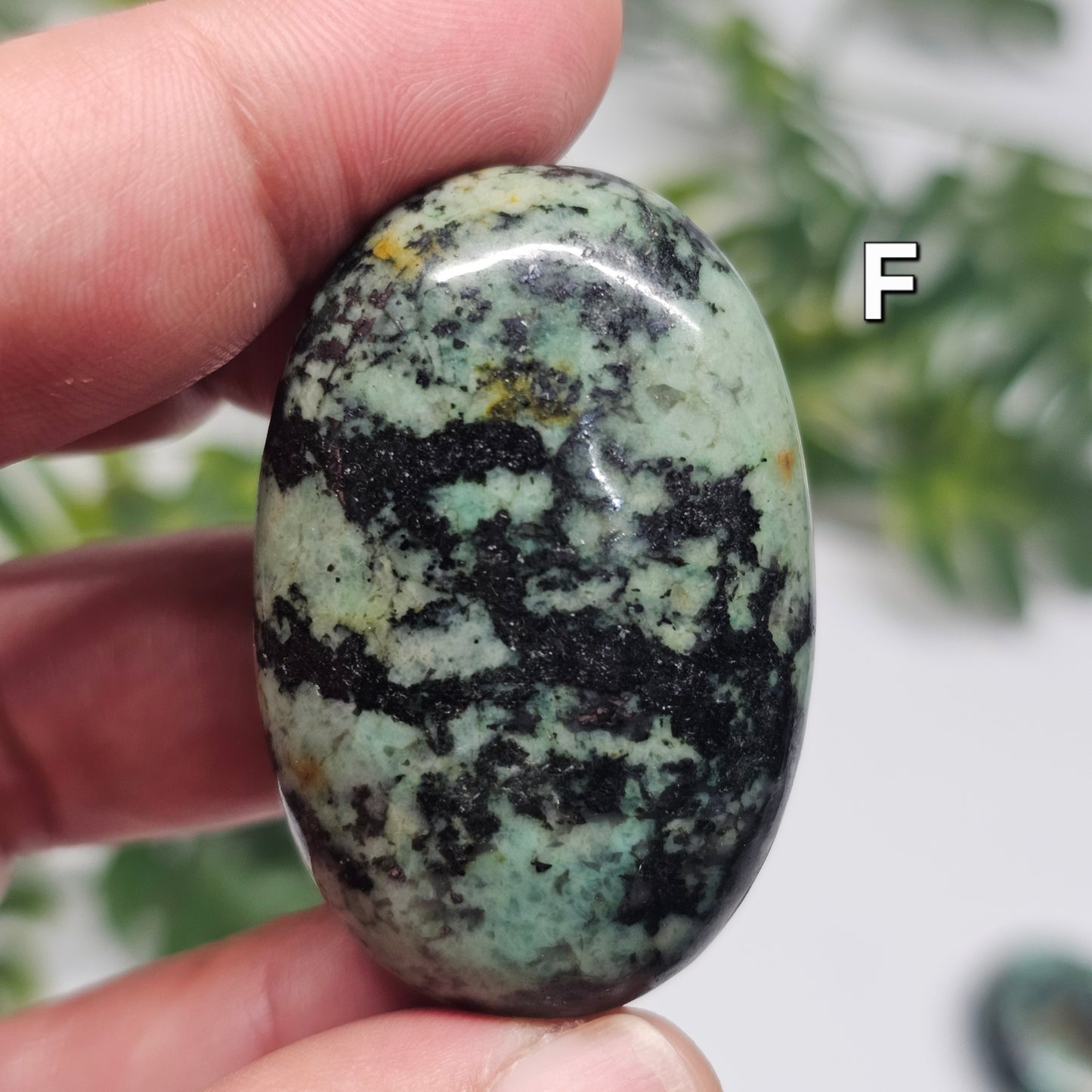Reverse side of African Turquoise Palm Stone F, displaying natural markings and earthy tones.