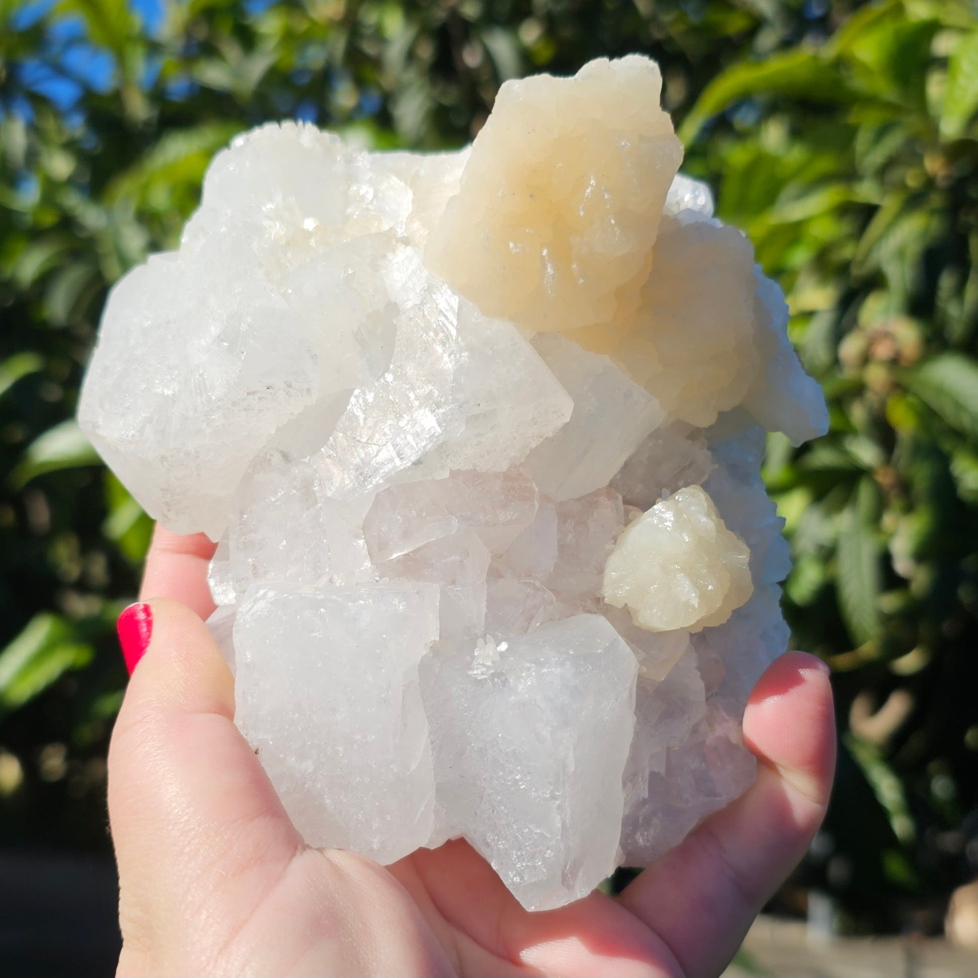 Apophyllite and Peach Stilbite Specimen Natural Crystal Cluster with Sparkling Points and Soft Peach Formations