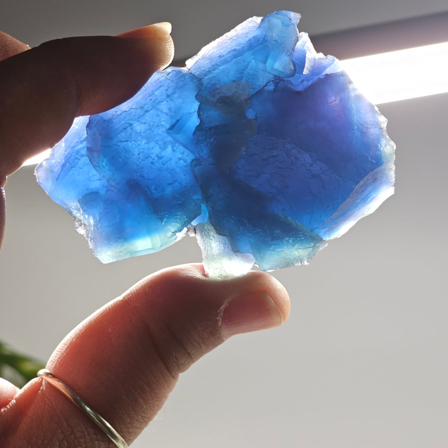 Deep blue Blue Fluorite from Zhejiang, China revealing exceptional translucency and glowing sapphire-blue colour when backlit.