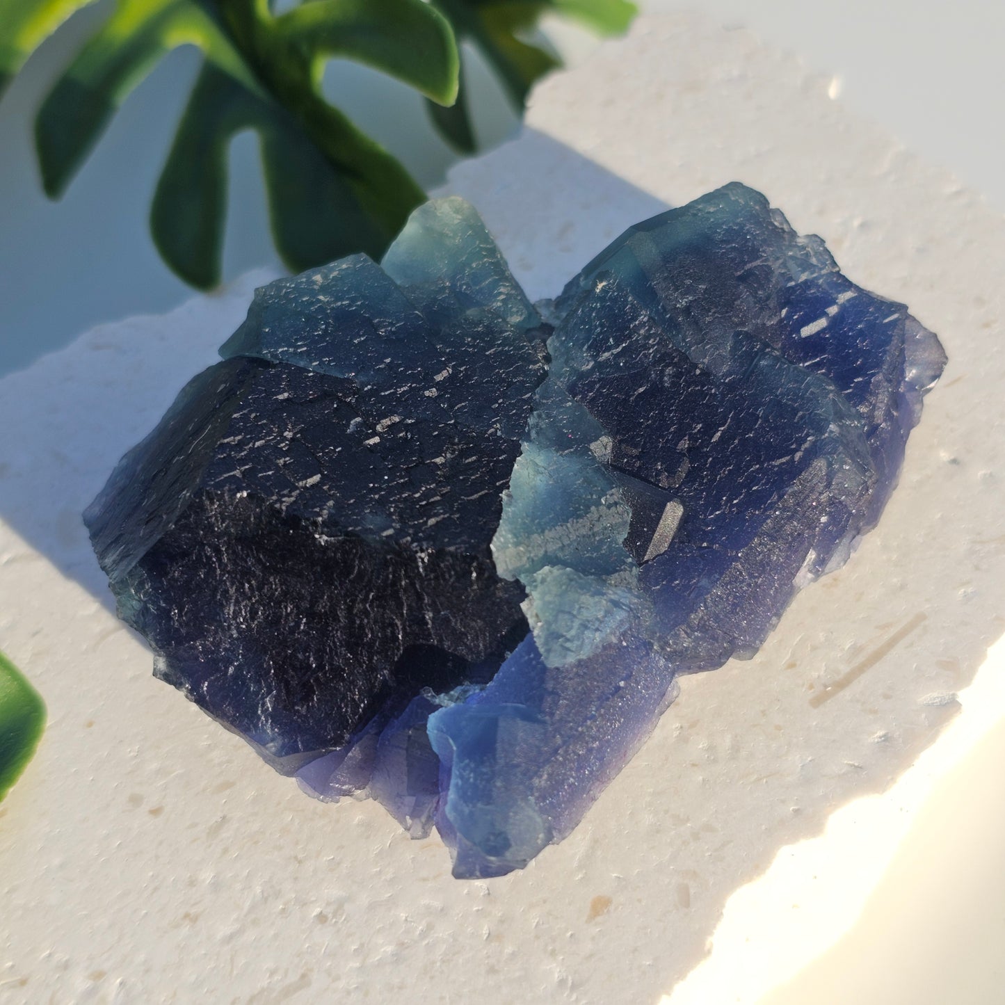 Collector-grade Blue Fluorite specimen displayed in natural lighting, highlighting rich blue colour and intricate structure.