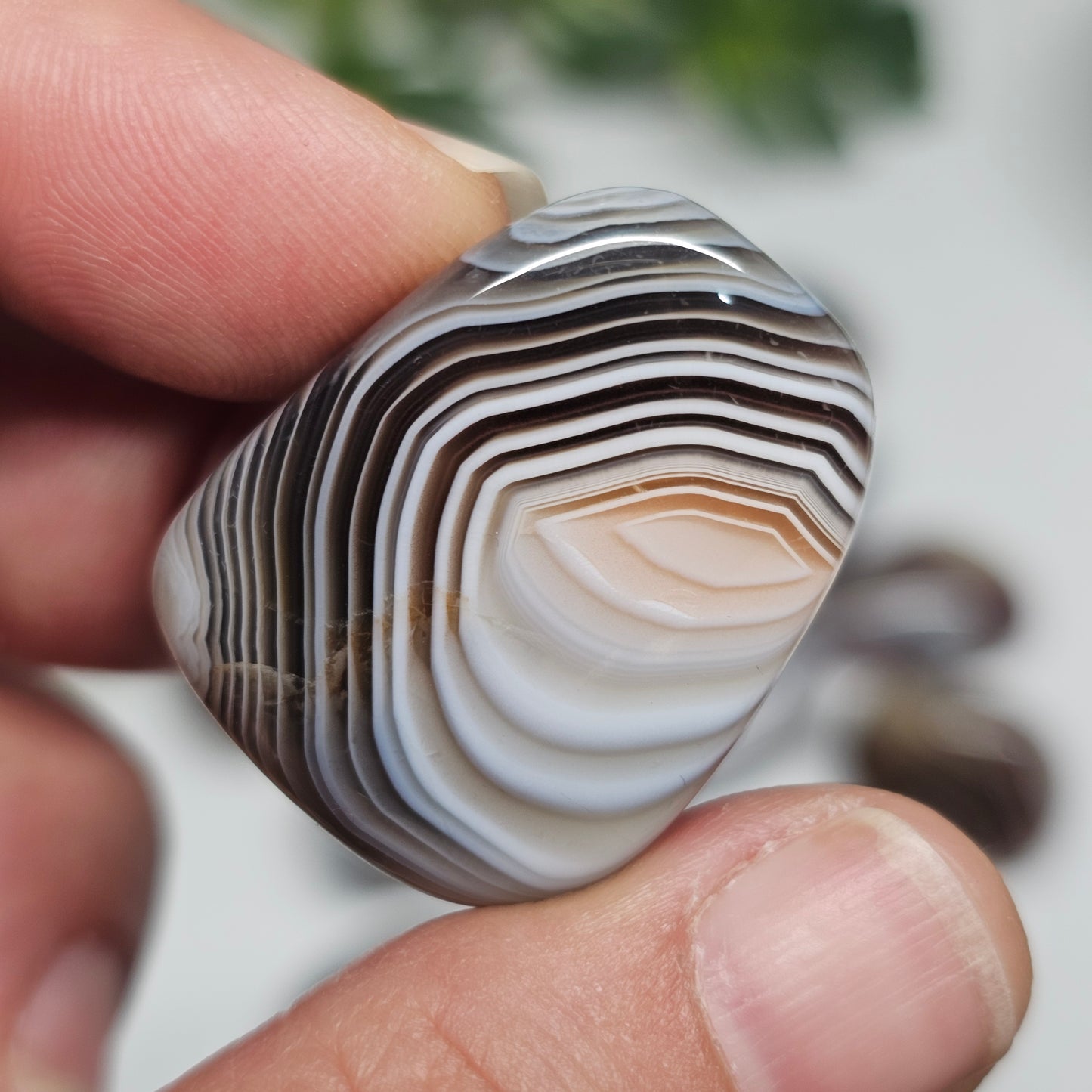 Individual Botswana Agate tumble stone held in hand, highlighting its unique banding patterns and smooth polished surface.