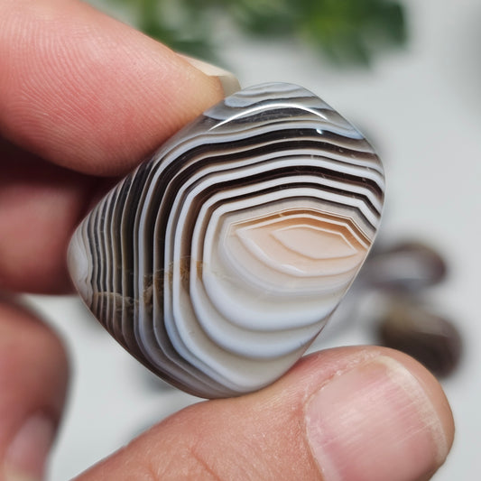 Individual Botswana Agate tumble stone held in hand, highlighting its unique banding patterns and smooth polished surface.