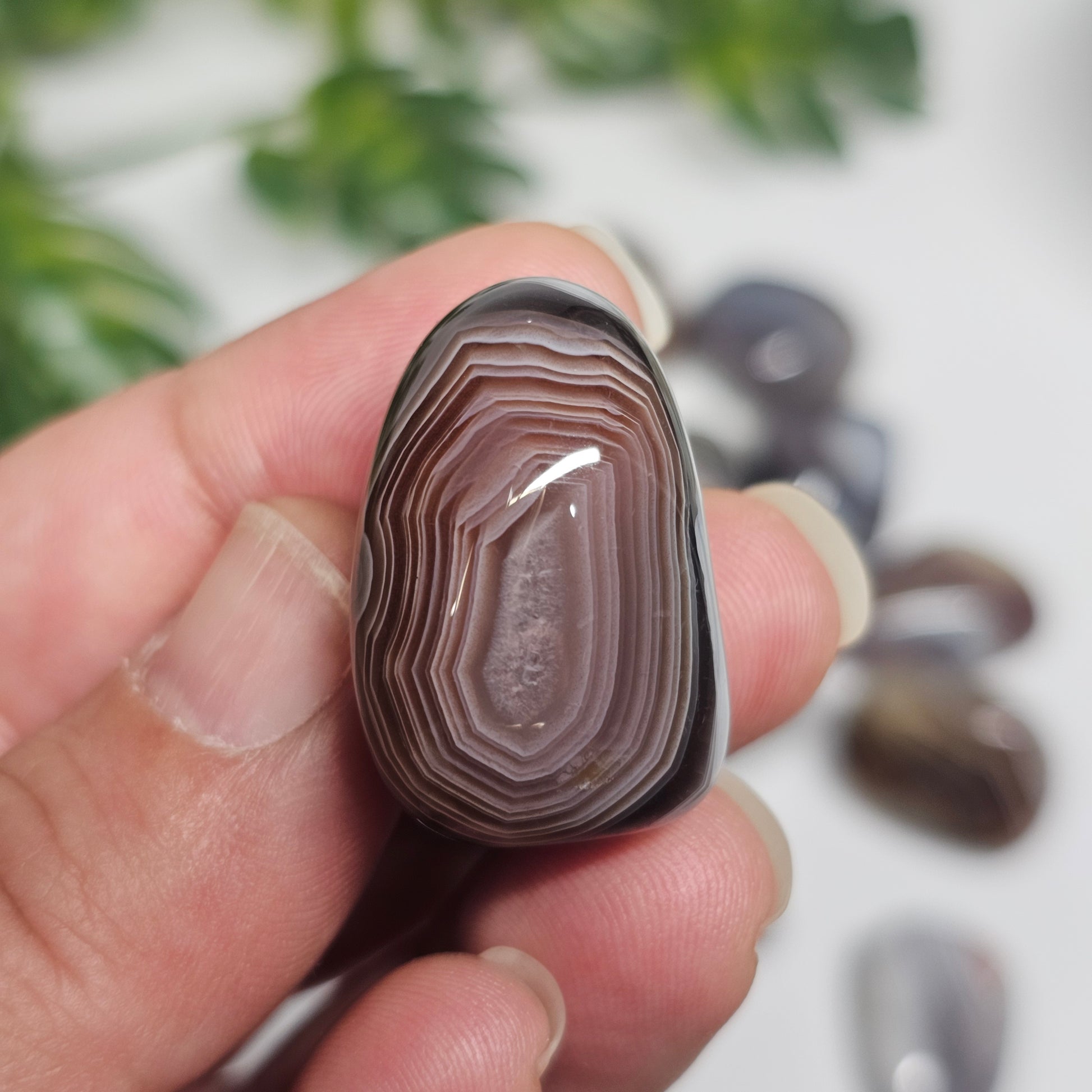 Close-up of a Botswana Agate tumble stone in hand, showcasing its natural formation and distinctive layered patterns.