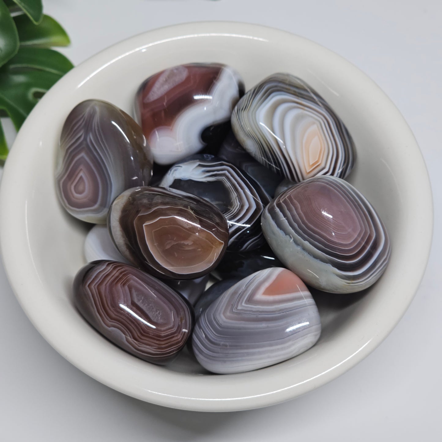 A collection of Botswana Agate tumble stones displayed in a bowl, showcasing their delicate natural banding, earthy tones, and polished finish.