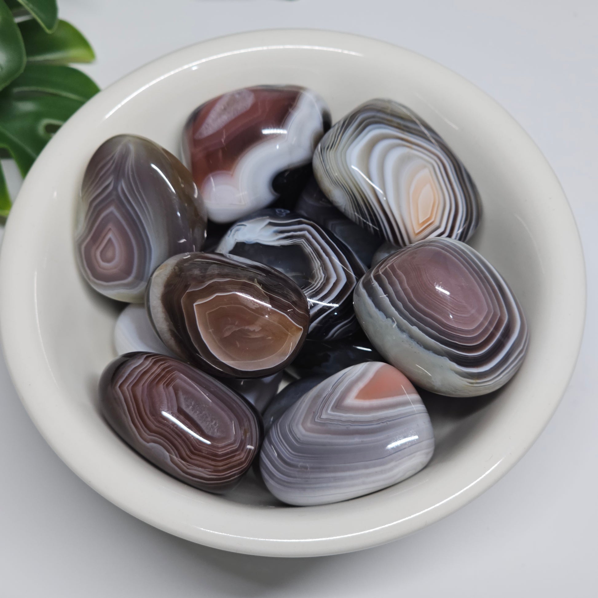 A collection of Botswana Agate tumble stones displayed in a bowl, showcasing their delicate natural banding, earthy tones, and polished finish.