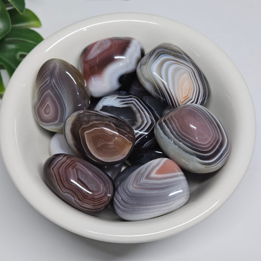 A collection of Botswana Agate tumble stones displayed in a bowl, showcasing their delicate natural banding, earthy tones, and polished finish.