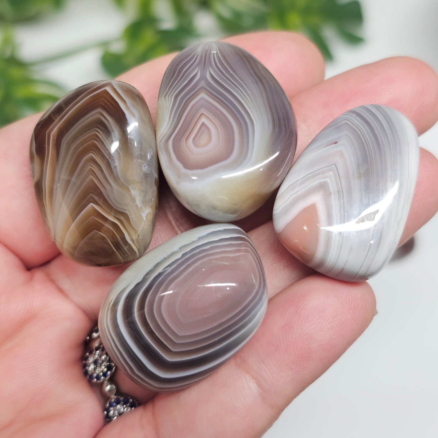 Multiple Botswana Agate tumble stones held in hand for size reference, showing the variety of natural patterns and colours found within the collection.