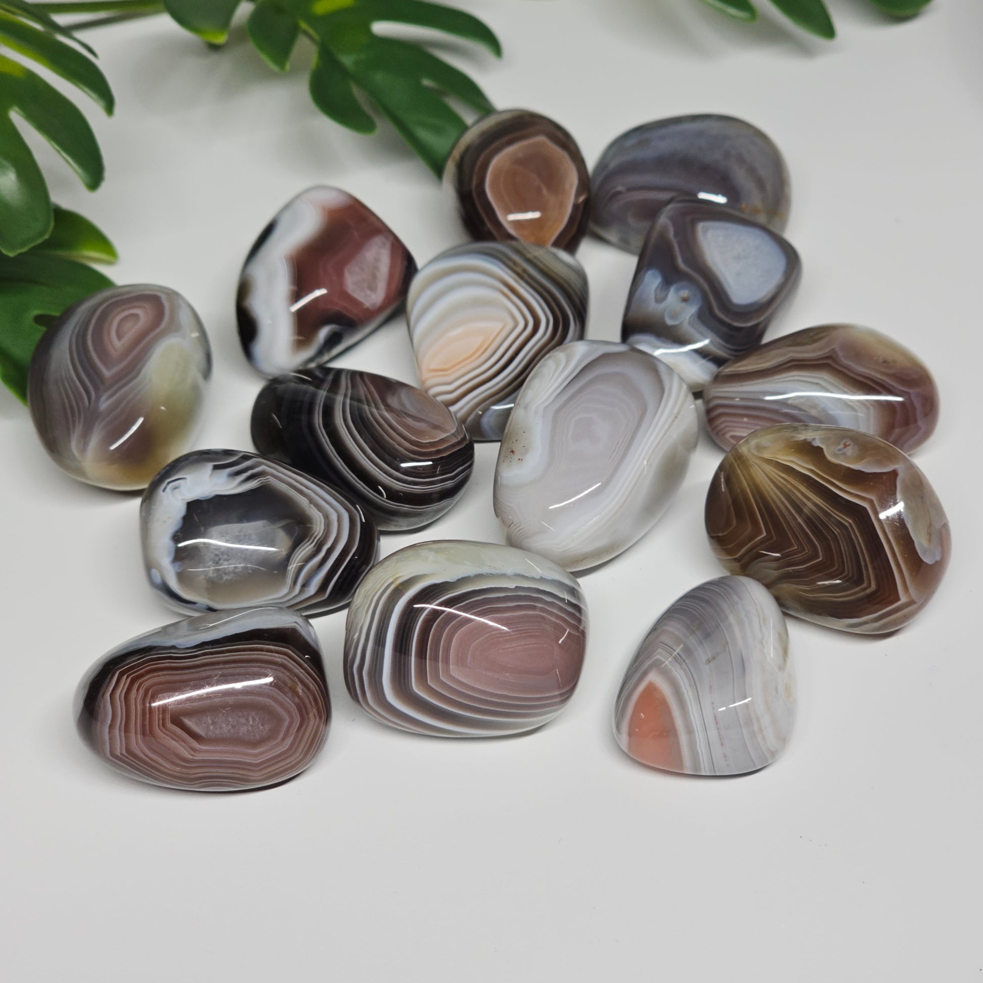 Botswana Agate tumble stones arranged on a flat surface, highlighting their beautiful natural banding and polished appearance.