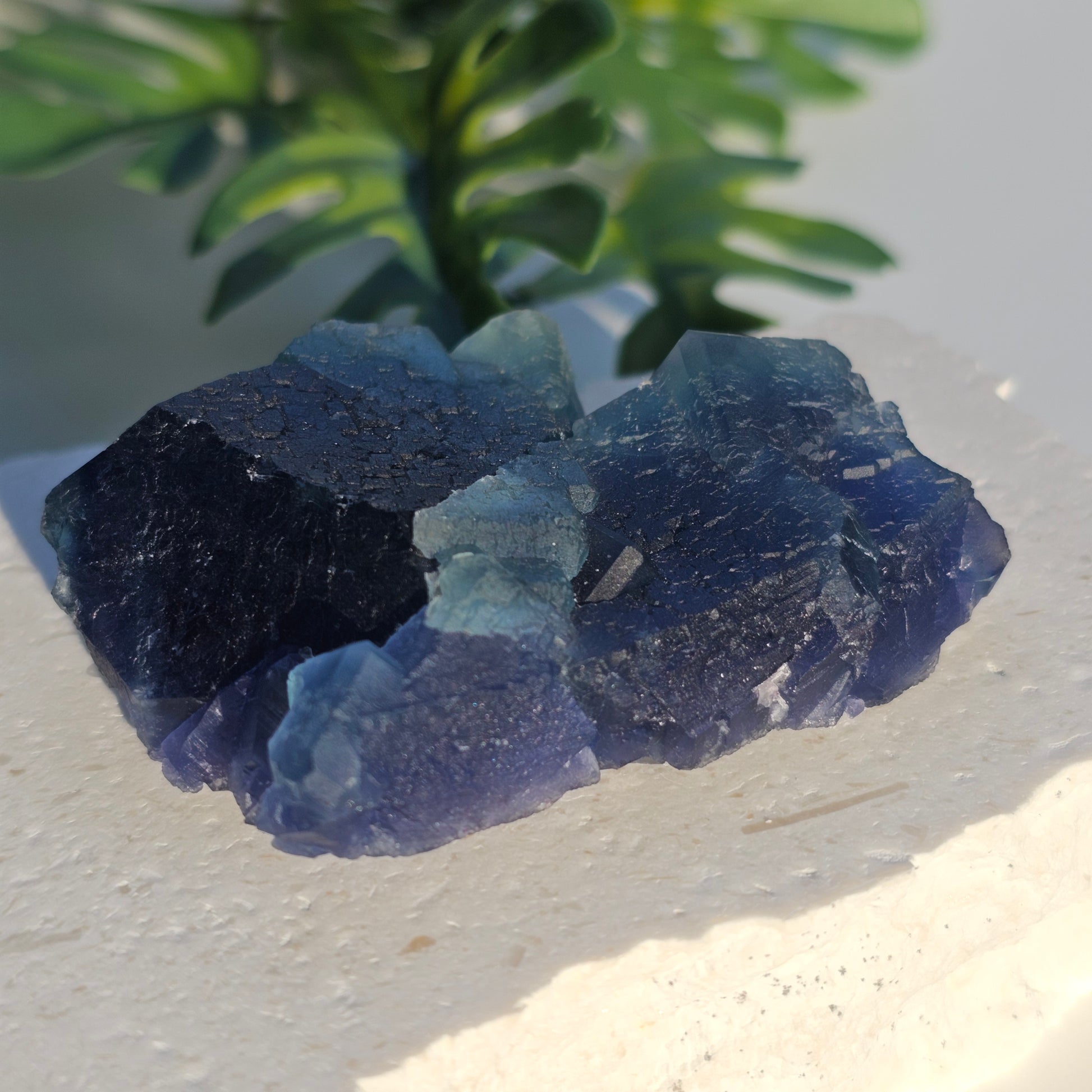 Raw Blue Fluorite crystal specimen photographed in natural light, perfect for mineral collectors and display.