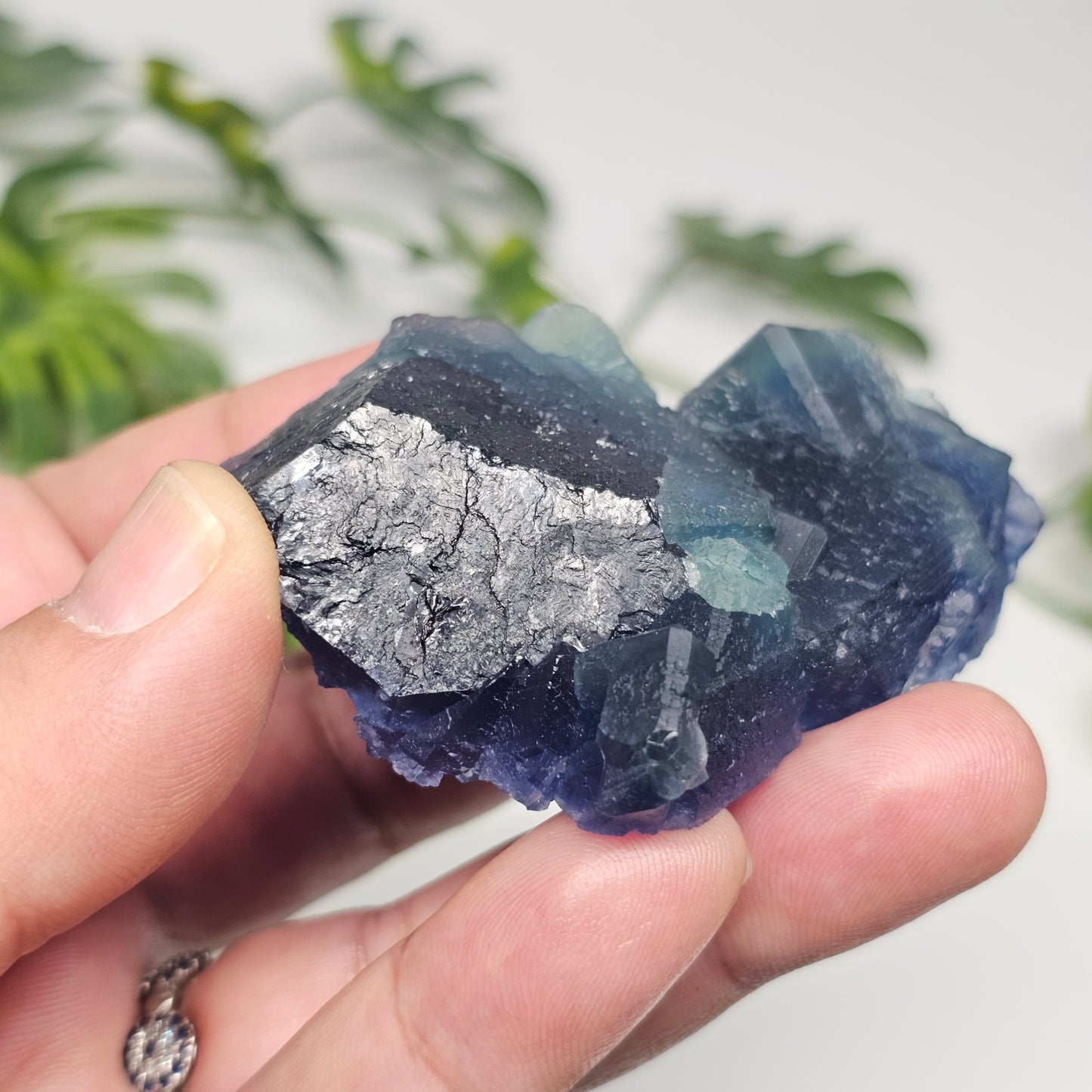 Side perspective of a rare Blue Fluorite crystal with striking sapphire-blue colour and translucent edges.