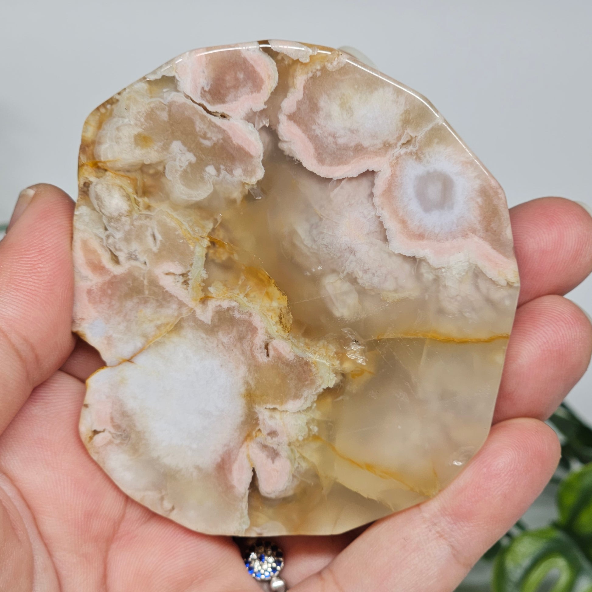 Polished Flower Agate slab held in hand to show natural size, soft pink, peach, and translucent tones with floral plume inclusions. A nurturing crystal for growth, healing, and new beginnings.