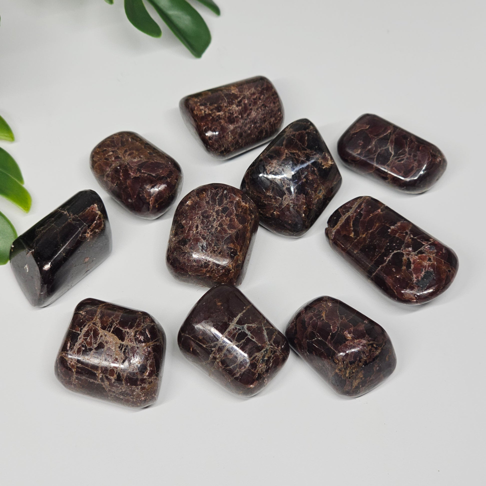 Garnet tumble stones arranged on a flat surface, highlighting their rich dark red colouring and smooth polished finish in natural light.