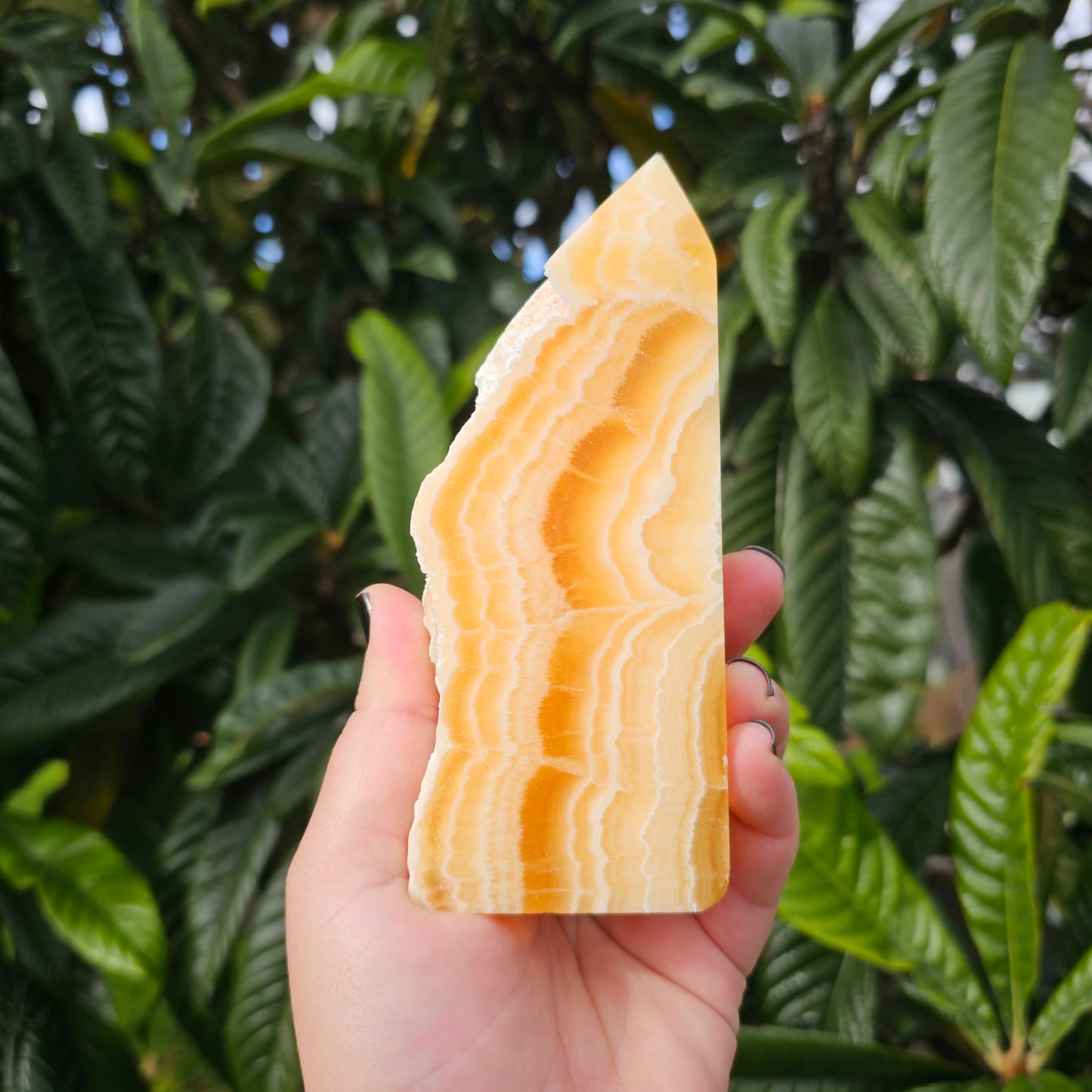 A close-up hand-held shot showing the luminous glow and premium polish of the orange calcite under natural light.
