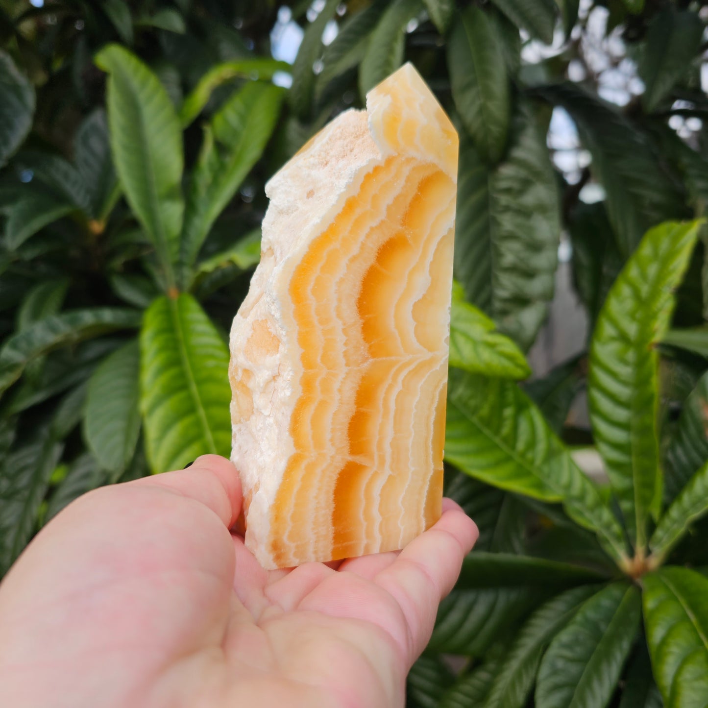 A perspective shot in-hand showing the depth of the 5.8cm width and the intricate honey-coloured crystal layers.