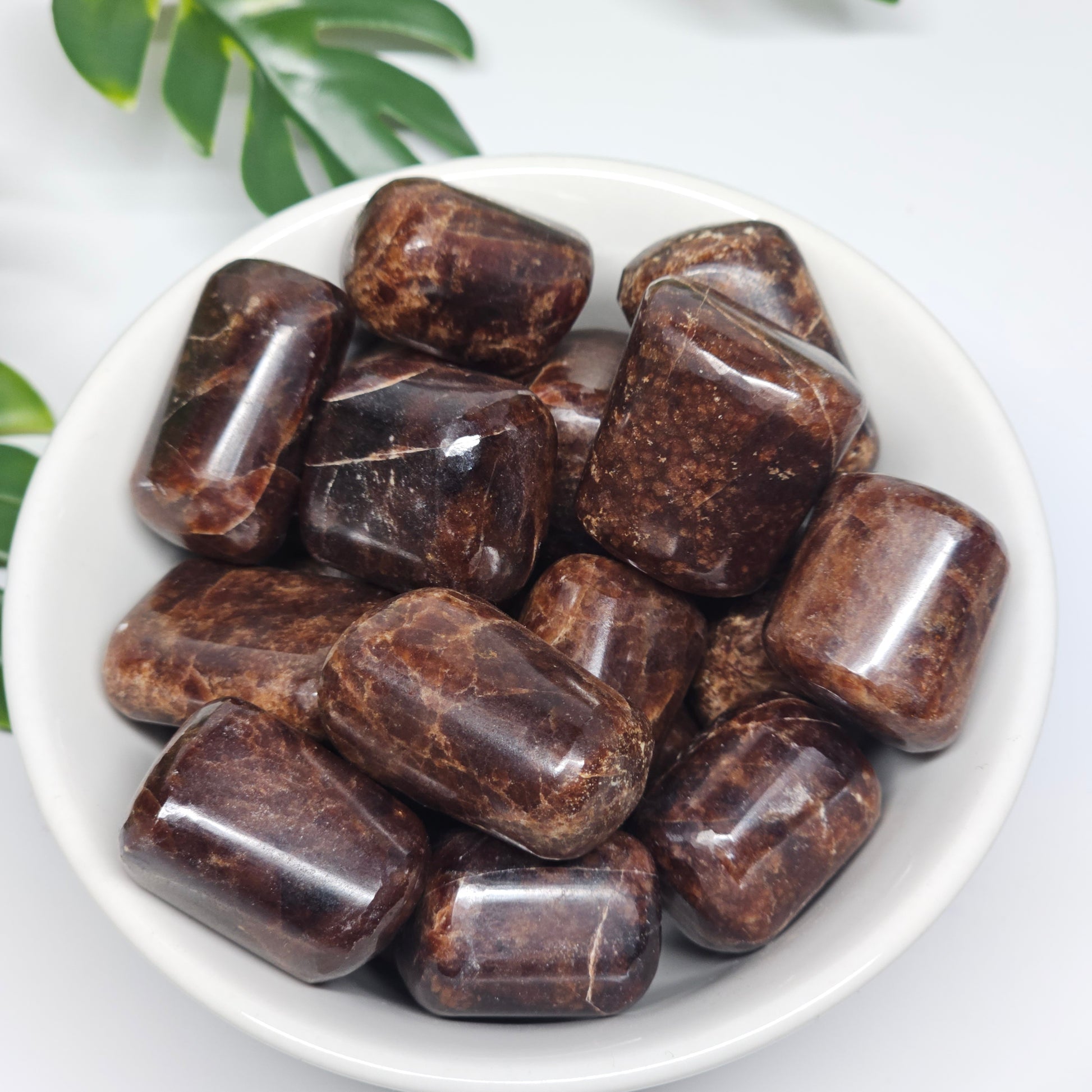 A collection of Hessonite Garnet tumble stones displayed in a bowl, showcasing their polished finish and natural variation in shape, clarity, and formation.