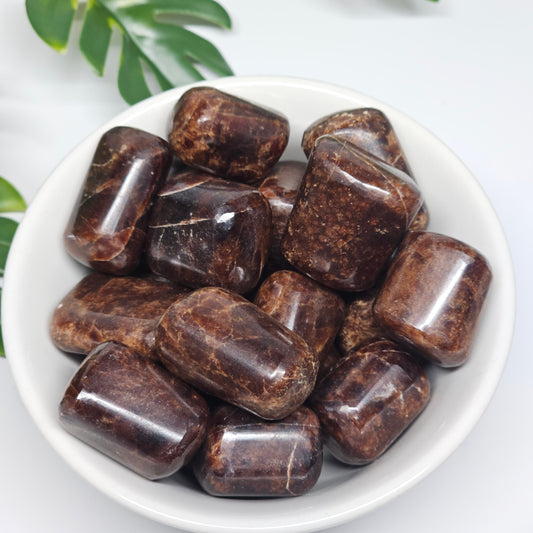 A collection of Hessonite Garnet tumble stones displayed in a bowl, showcasing their polished finish and natural variation in shape, clarity, and formation.