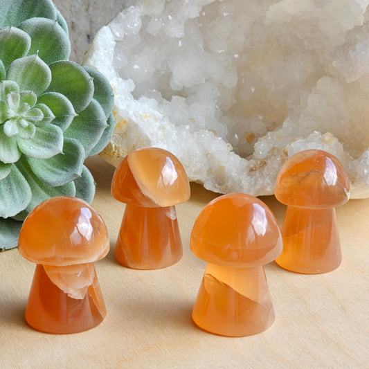 Group of Honey Calcite mushroom carvings featuring warm golden tones and natural variation with smooth polished finish.