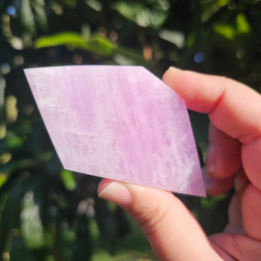 Kunzite slab held in hand outdoors, showing natural daylight glow and soft pastel pink lilac colouring.
