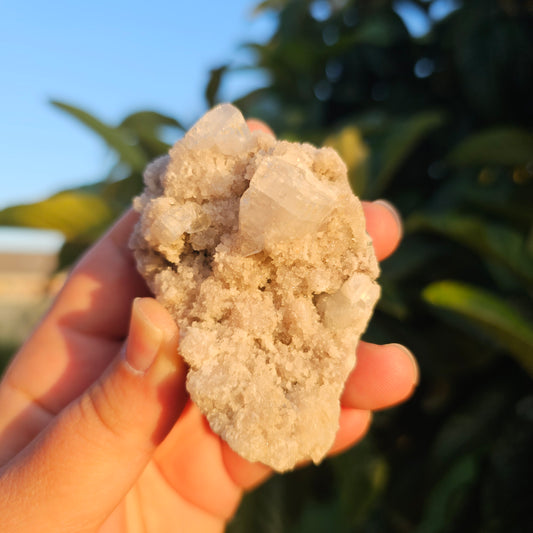Mauve Apophyllite crystal specimen photographed in hand under natural outdoor lighting, showcasing its soft mauve colouring, sparkling druzy texture, and reflective cubic crystal formations.