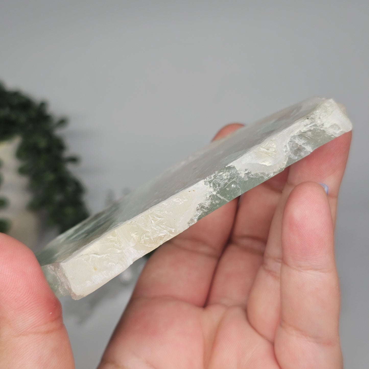 Medium Green Fluorite slab held in hand to highlight its thickness, transparency, and internal structure.