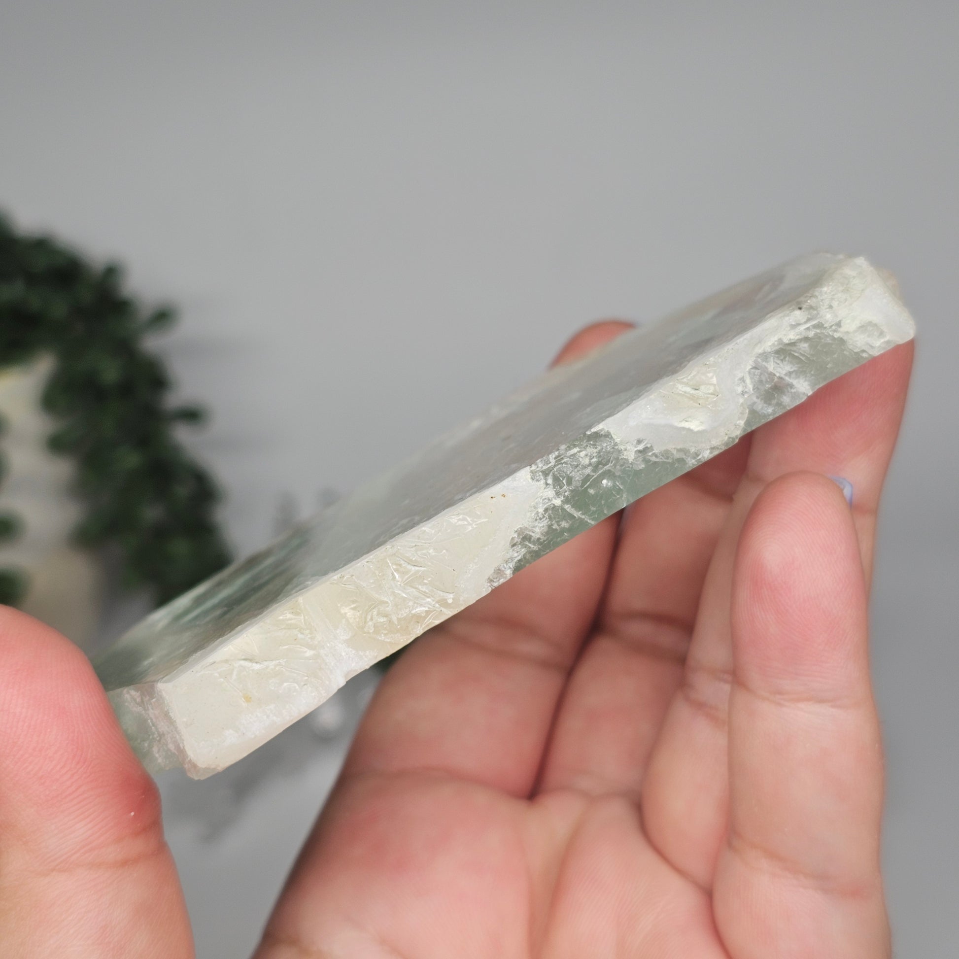 Medium Green Fluorite slab held in hand to highlight its thickness, transparency, and internal structure.