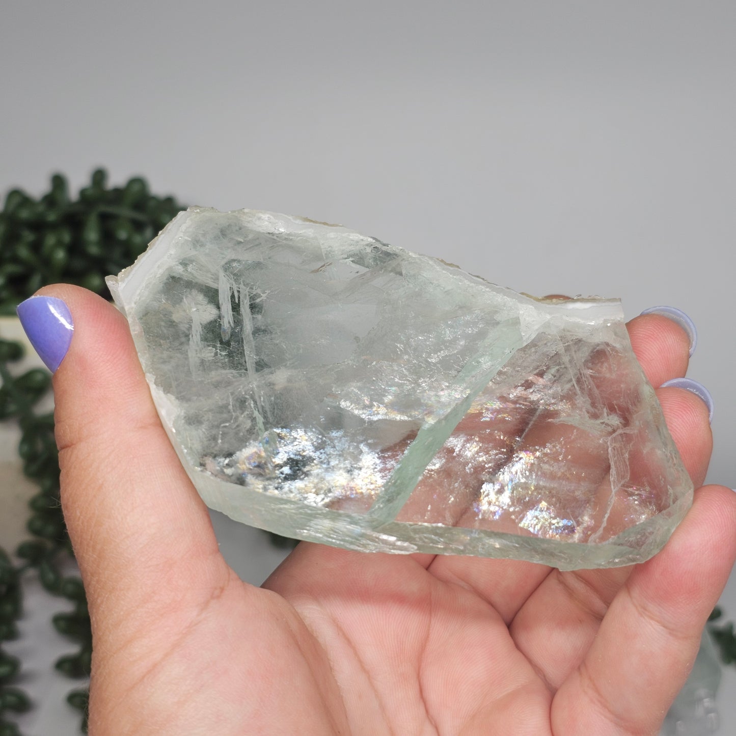 Medium Green Fluorite slab tilted to reveal large internal rainbows and natural transparency.