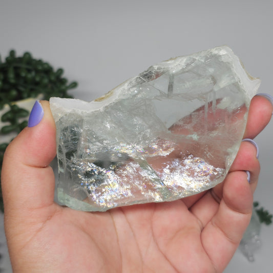 Transparent medium Green Fluorite slab held in hand under studio lighting, showing large vibrant rainbows concentrated across the lower half.