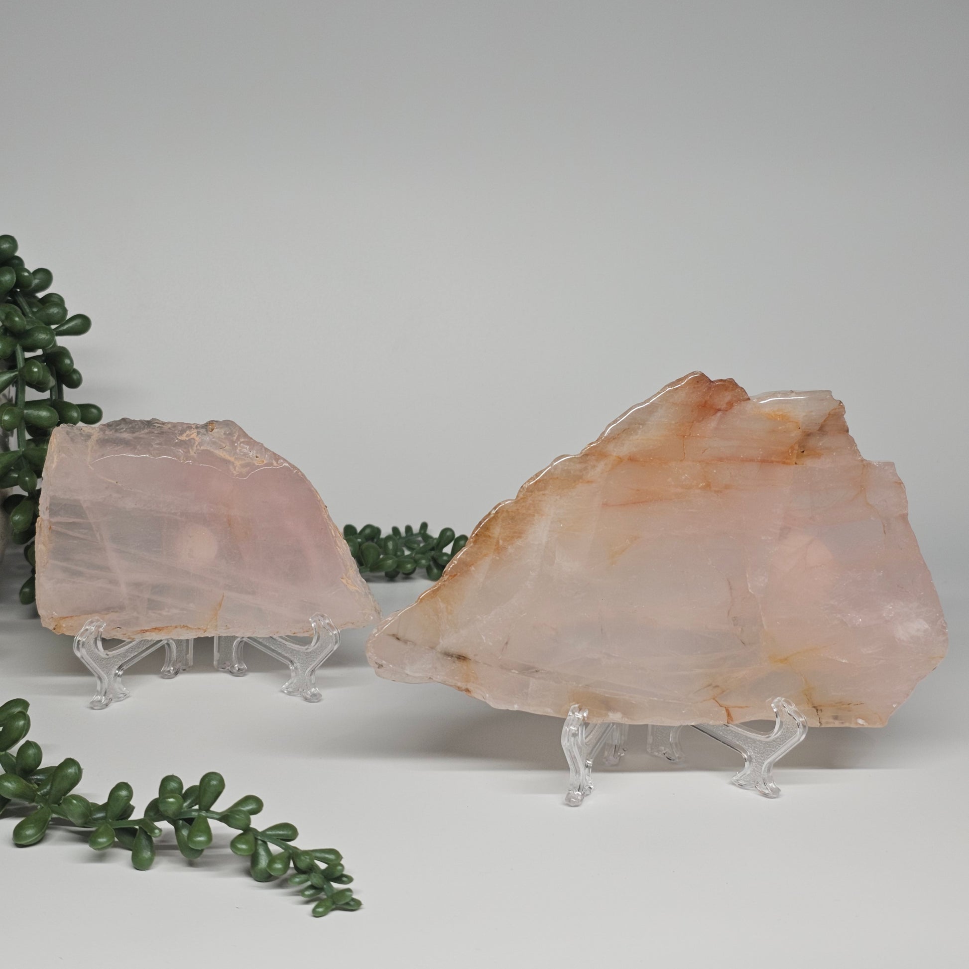 Medium and large translucent Dendritic Rose Quartz slabs displayed on clear stands, featuring soft pink tones, natural inclusions, and polished finishes.