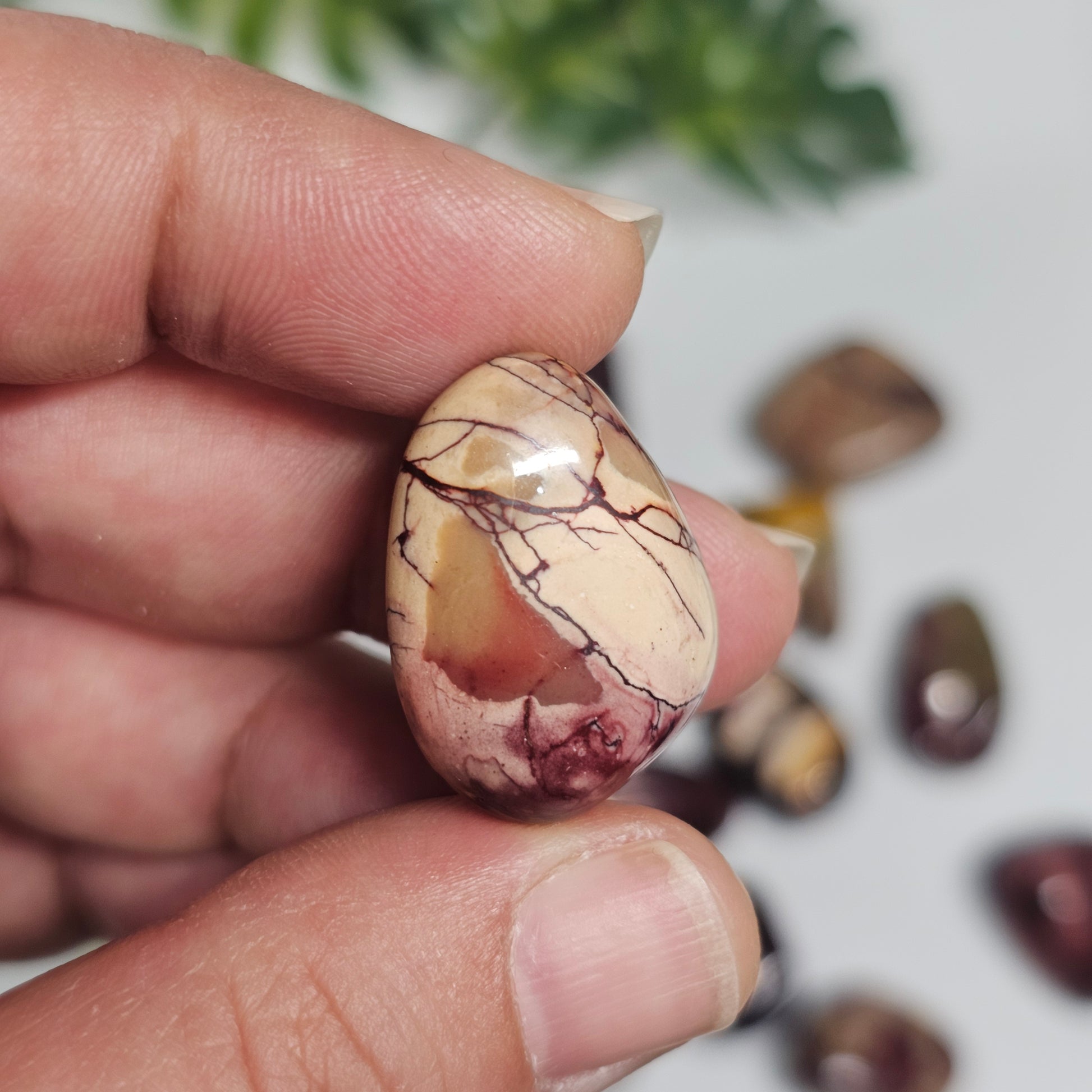 Single Mookaite Jasper tumble stone held in hand, showing its polished finish and detailed natural colour banding of red, yellow, and cream tones.