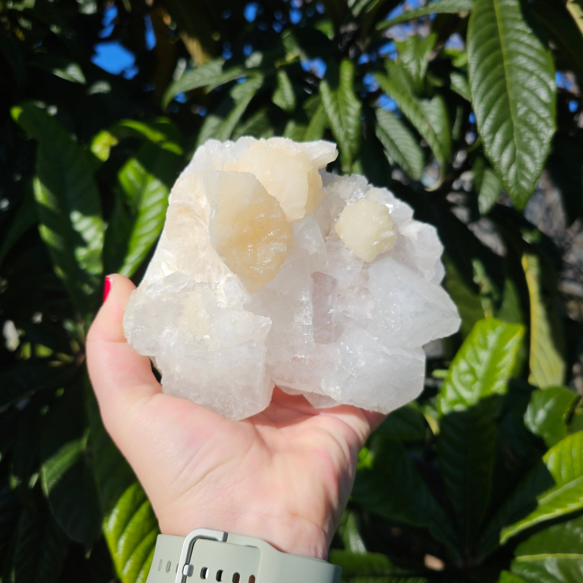 Apophyllite and Peach Stilbite Specimen Natural Crystal Cluster with Sparkling Points and Soft Peach Formations