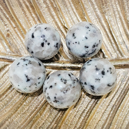 Kiwi Jasper Spheres