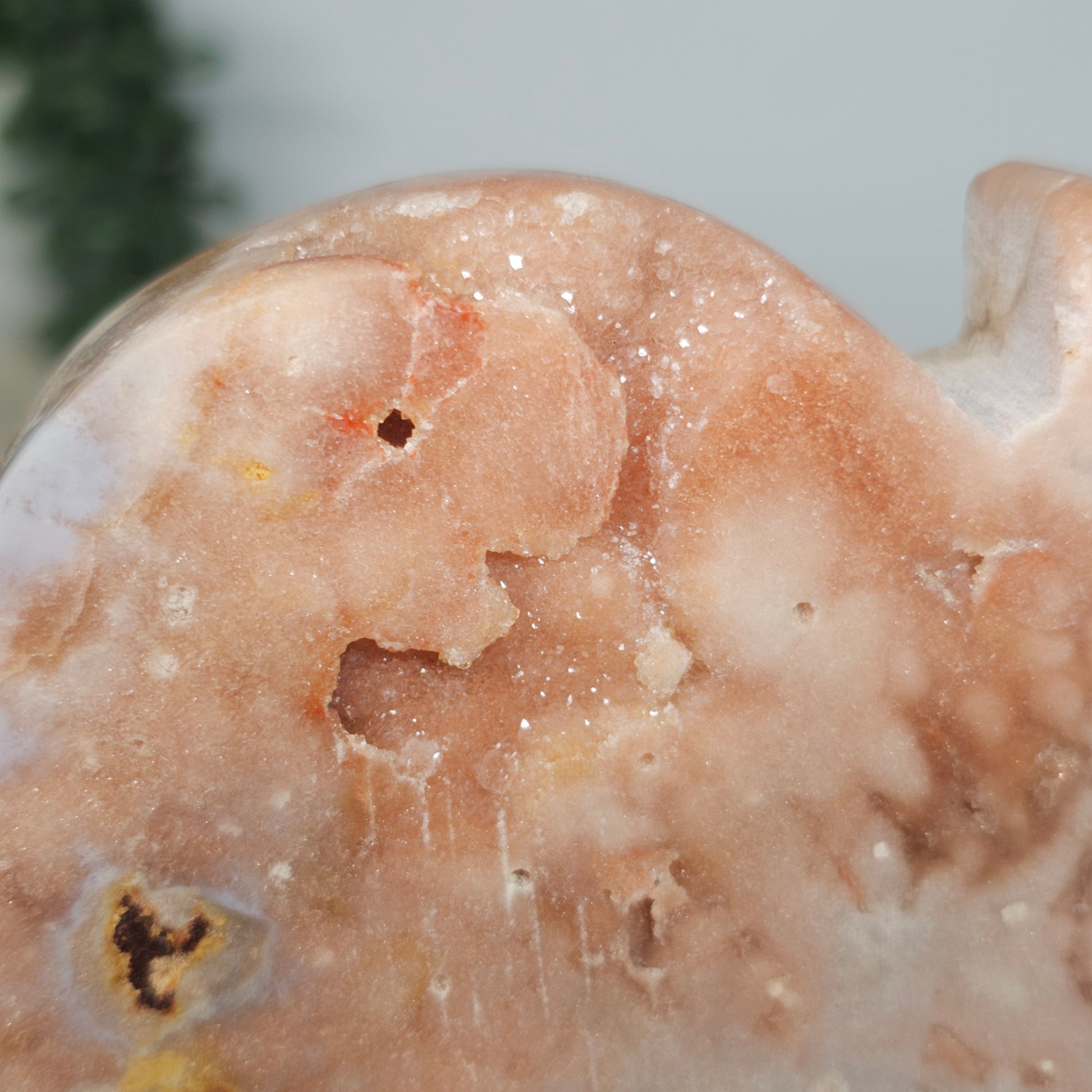 A detailed shot of the back's surface focusing on the unique mineral growth and the shimmering quality of the natural druzy.