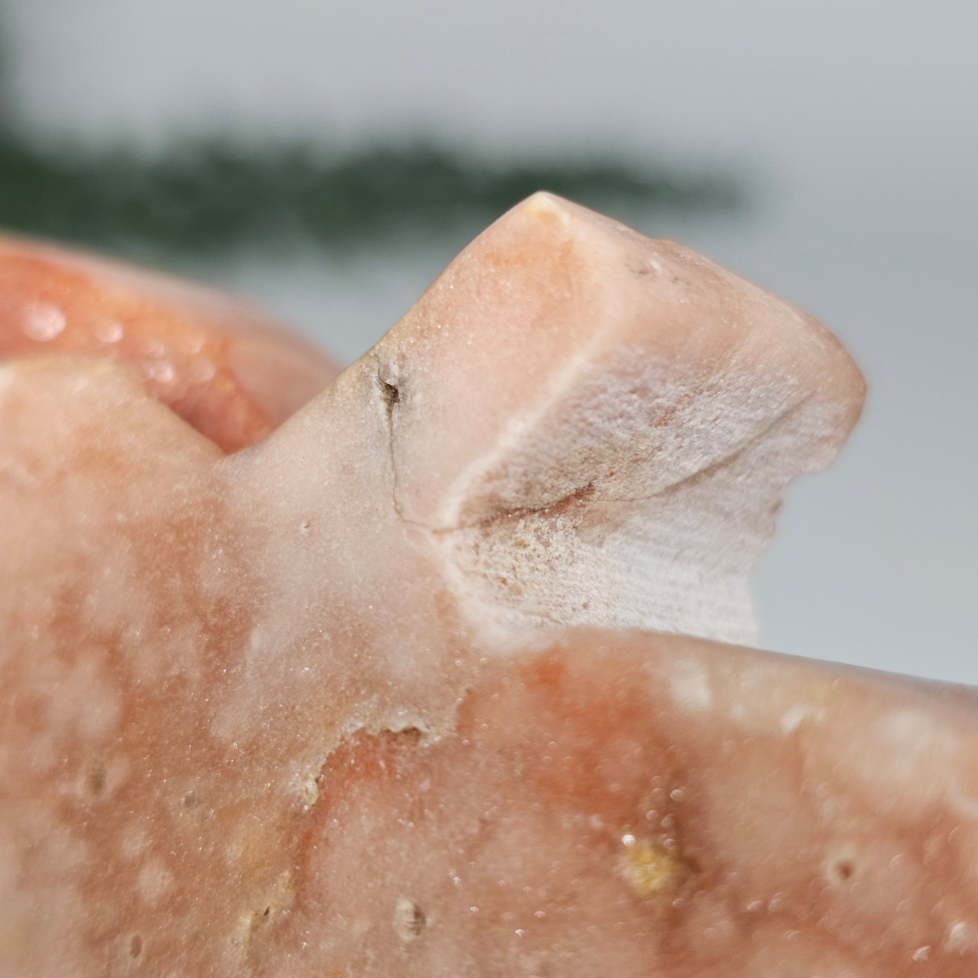 A clear photo of the apple's stalk showing the discreet mend where a small portion has been carefully secured.