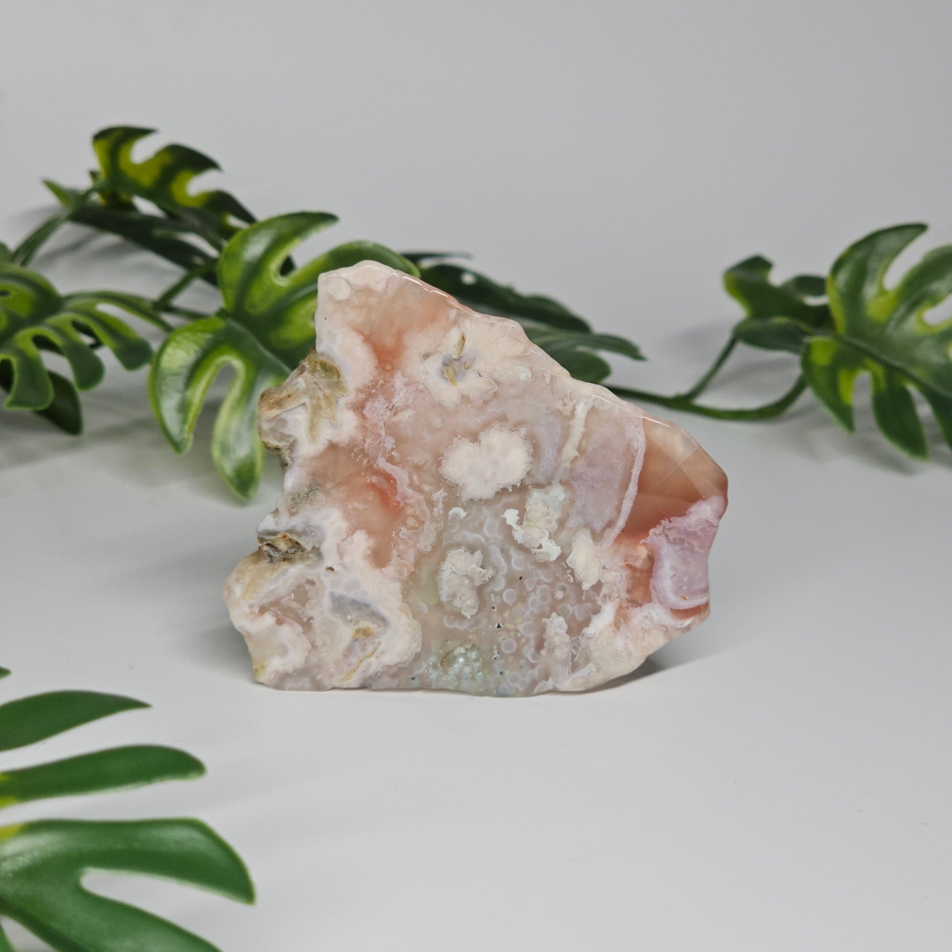 Polished Flower Agate slab displayed free standing, featuring warm pink-red tones, cream colouring, and natural floral plume inclusions. A grounding and nurturing crystal for growth and new beginnings.