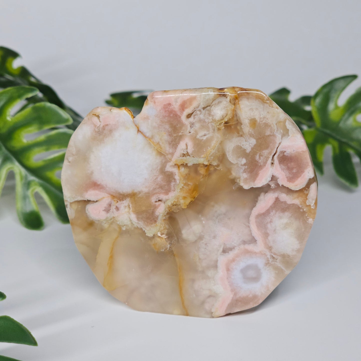 Polished Flower Agate slab displayed free standing, featuring soft pink, peach, and translucent tones with natural floral plume inclusions. A grounding and nurturing crystal for growth and new beginnings.