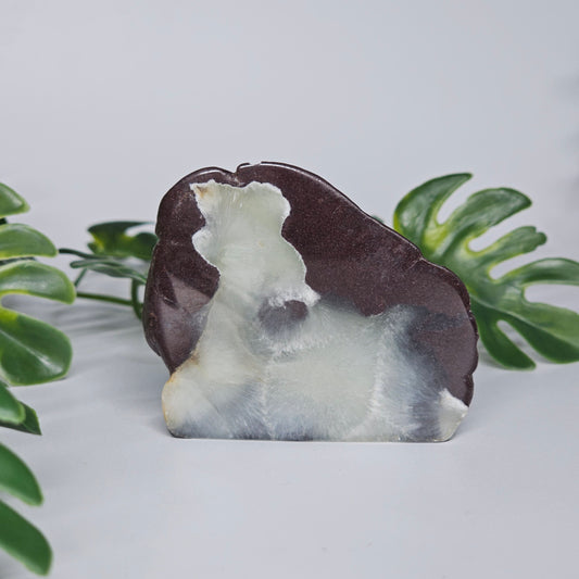 Polished Prehnite slab featuring soft green colouring, natural inclusions, and a smooth finish. Beautiful crystal display piece available in Australia.
