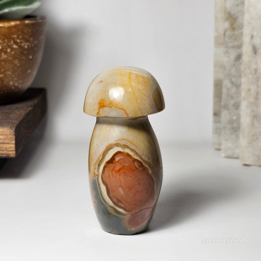 Front view of Polychrome Jasper mushroom showing beige, brown and green tones.